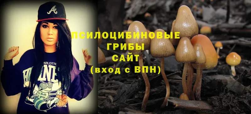 сайты даркнета телеграм  Верхнеуральск  Псилоцибиновые грибы Magic Shrooms  ОМГ ОМГ маркетплейс 